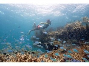 プランの魅力 The sea of coral is ... の画像