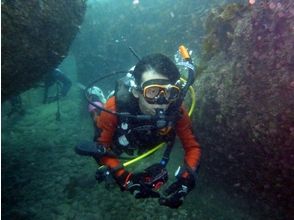 プランの魅力 越前海，海洋培训有很多亮点 の画像