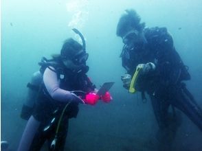 プランの魅力 越前海，海洋培训有很多亮点 の画像