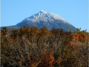 プランの魅力 There is splendor for each season の画像