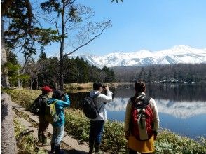 プランの魅力 Of course, we will also guide you to the popular Shiretoko Five Lakes の画像