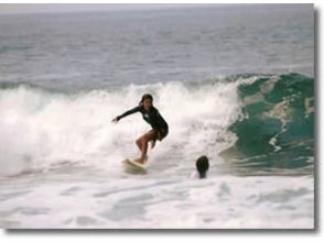 プランの魅力 Surfing is fun! の画像