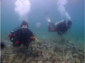 プランの魅力 คำแนะนำสุภาพที่บ้าน の画像