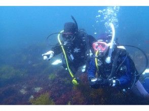 プランの魅力 海の魅力に引き込まれます！ の画像