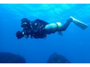 プランの魅力 Improve your diving skills! の画像