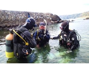 プランの魅力 一人でも気軽に始められる! の画像