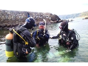 プランの魅力 一人でも気軽に始められる！ の画像