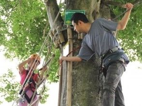 プランの魅力 从成年人到儿童都可以放心地享受！ の画像