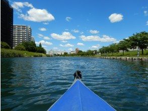 プランの魅力 広い空 の画像