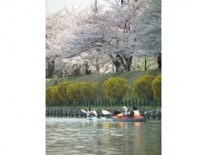 プランの魅力 Cherry-blossom viewing canoe の画像
