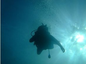 プランの魅力 Refresh in the sea! の画像