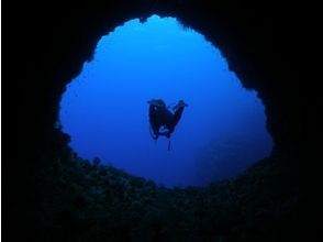 プランの魅力 地形の変化に富むポイントへ! の画像
