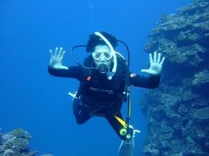 プランの魅力 海洋ダイブでは実際の海へ の画像