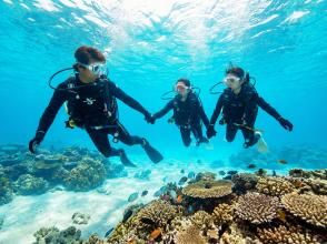 プランの魅力 水中では、常にインストラクターが一緒です の画像