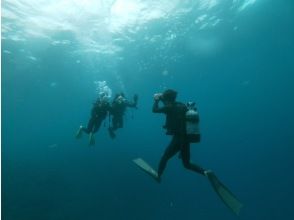 プランの魅力 回忆照片点击！ の画像