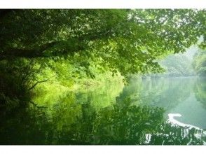 プランの魅力 Take a leisurely walk on the water at the lake in the green forest ♪ の画像