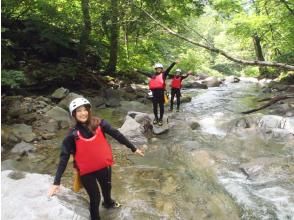 プランの魅力 Beech Forest River Trekking の画像