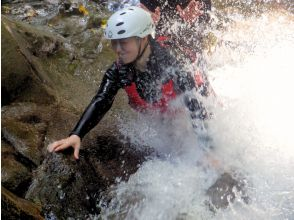 プランの魅力 Shower climbing の画像