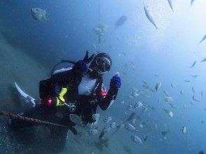 プランの魅力 想像以上の魚の数！ の画像