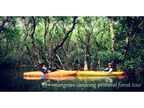 プランの魅力 Mangrove canoe image の画像