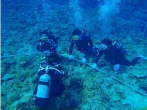 プランの魅力 你可以学习基础知识 の画像