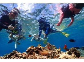 プランの魅力 Sea friends are waiting! の画像