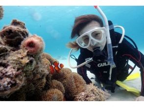 プランの魅力 To be a cute sea companion ... の画像