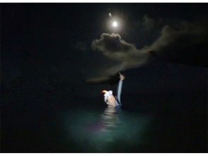 プランの魅力 In the sea at night ... の画像