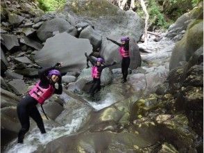 プランの魅力 配备坚固的设备 の画像