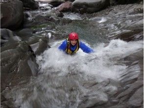 プランの魅力 シャワーを浴びて の画像