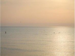 プランの魅力 イルカと夕日 の画像