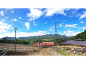 プランの魅力 大自然に囲まれて、のんびり乗馬体験 の画像