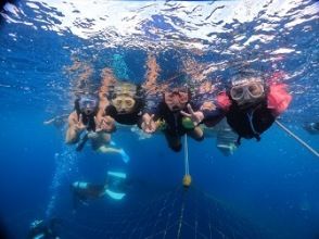 プランの魅力 ジンベエザメシュノーケル の画像