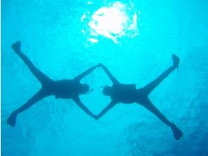 プランの魅力 ジンベエザメスノーケル の画像