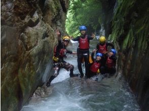 プランの魅力 The natural water slider is a moving word! の画像