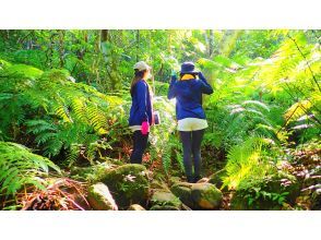 プランの魅力 상쾌한 공간 の画像