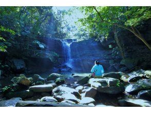 プランの魅力 이리 오모테 다움이 가득 の画像