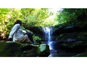 プランの魅力 자, 가자! の画像