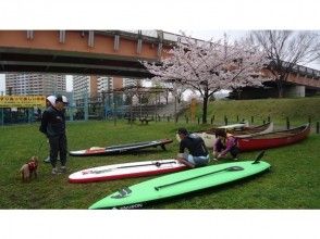 プランの魅力 陸上でしっかりレッスン後、水面へ の画像