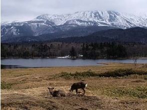 プランの魅力 大自然を満喫しましょう！ の画像