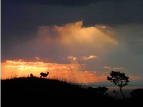 プランの魅力 欣赏美丽的风景！ の画像