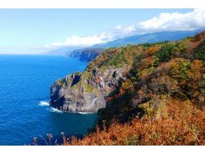 プランの魅力 知床岬までの断崖 の画像
