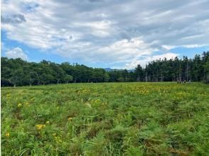 プランの魅力 Grassland and virgin forest の画像