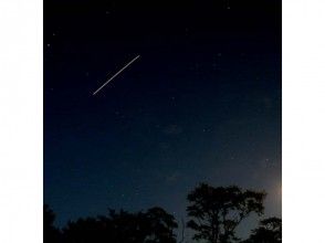 プランの魅力 ナイトツアーで夜も満喫! の画像