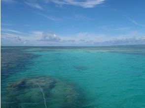 プランの魅力 石垣島の素晴らしい自然を体験できます！ の画像