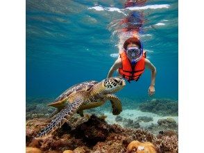 プランの魅力 You can also see sea turtles. の画像