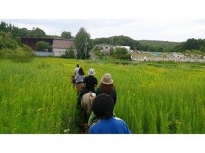 プランの魅力 みんなでホーストレッキングを楽しみましょう! の画像