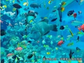 プランの魅力 沖縄美ら海水族館チケット！ の画像