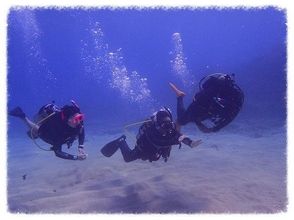 プランの魅力 水下天堂！ の画像