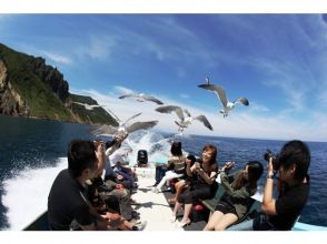 プランの魅力 갈매기 の画像